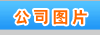 ȯ,ͨȯ,,,,˳